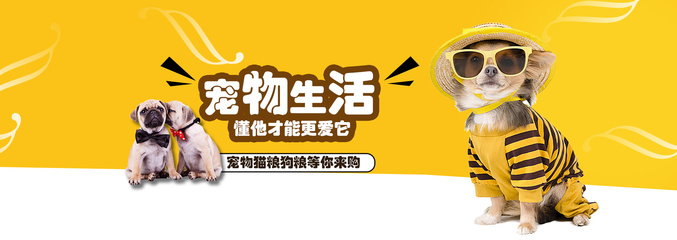 Bitcoin钱包安卓版